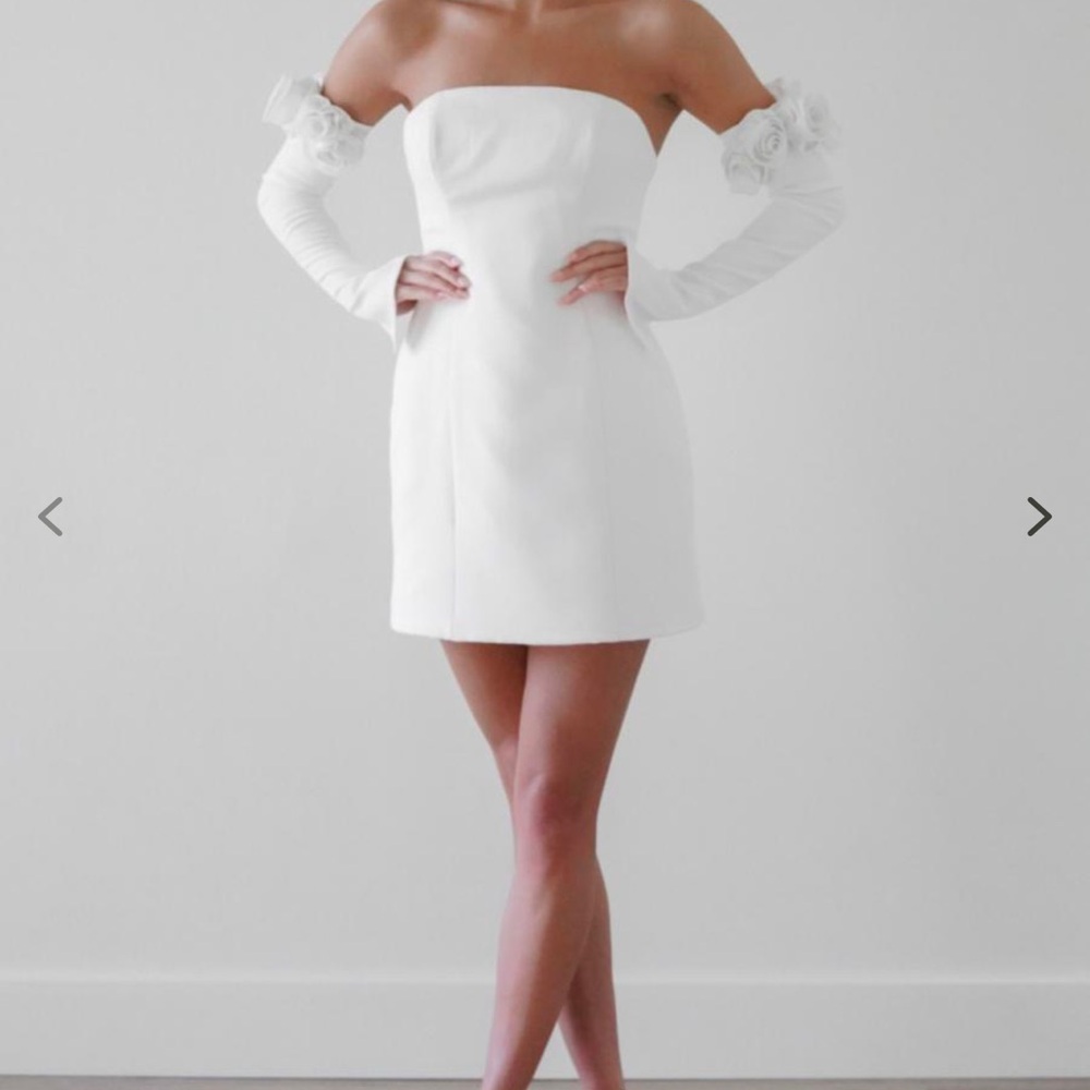 By Watters Mini Dress Never Worn With Tags